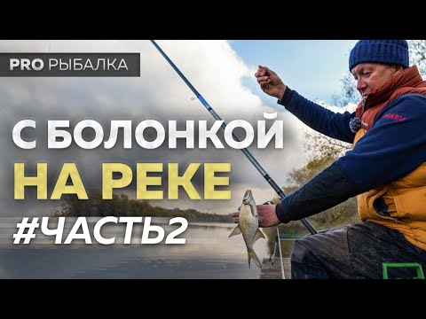 Видео: Болонская ловля. Техника ловли в проводку.