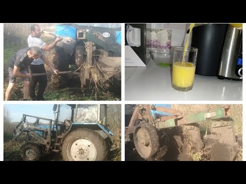 Видео: Натуральный сок//Вспахали огород//Второй урожай.