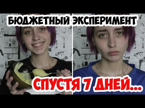 Видео: Бюджетный эксперимент, ЕМ только пюре, До - После