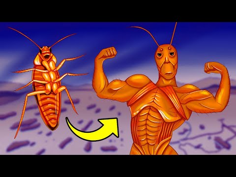 Видео: Кто придумал тараканов?