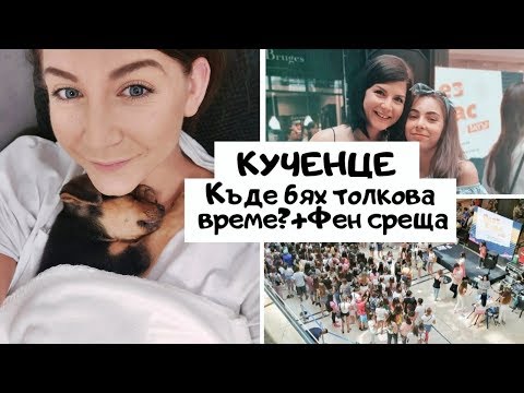 Видео: Къде бях? + Кученце и Фен Среща | ВЛОГ