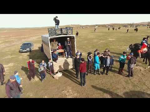 Видео: Маятас көкпар.24.11.2022 "Бәйдібек пен Нұрханның көкпар тойы"