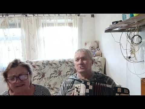 Видео: А журавлі летять