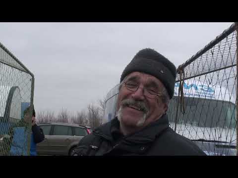 Видео: 500$ за голубя - совесть не позволяет. Ярмарка г,Днепр 2 часть