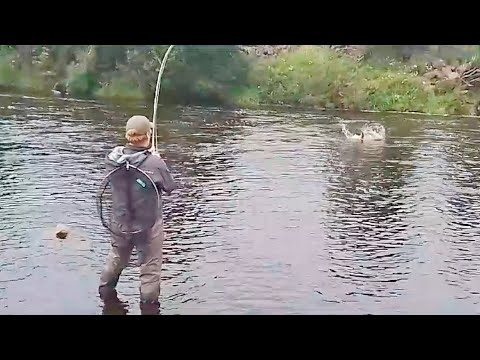 Видео: Ловля лосося на реке Тайн: эта рыбалка чуть не вырвала удочку у меня из рук!
