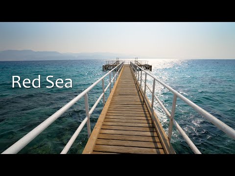 Видео: Спокойствие природы — волны Красного моря и шёпот ветра для расслабления.