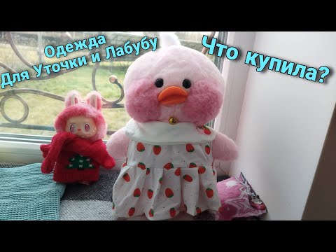 Видео: Новая одежда Уточки и Лабубу! Что я купила для них?