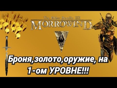 Видео: МОРОВИНД (ЗОЛОТО, БРОНЯ, ОРУЖИЕ) НА 1-ОМ УРОВНЕ!!!