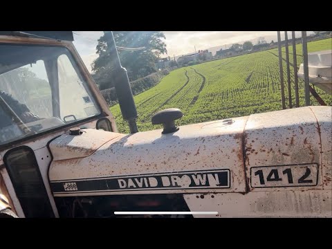 Видео: Ещё один трактор?! Их никогда не бывает слишком много!!