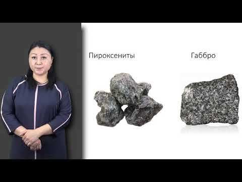 Видео: Матайбаева И. лекция №3 "Горные породы"