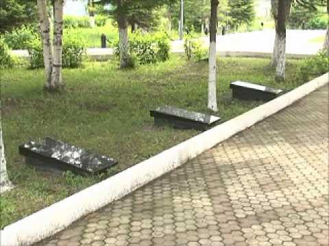 Видео: Едем по Приморью - Михайловка.wmv