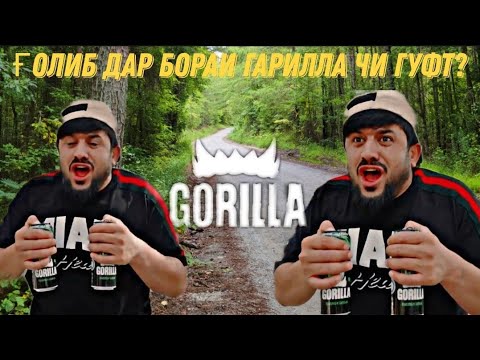 Видео: СУХАНҲОИ ҒОЛИБ ШОВ ДАР БОРАИ ГАРИЛЛА 2023