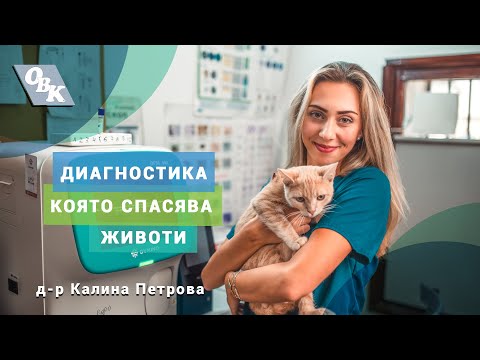 Видео: Диагностиката е в основата на всяко успешно лечение