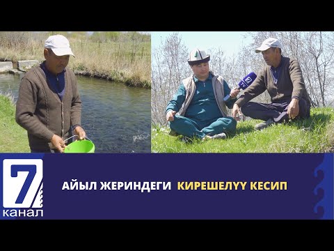 Видео: АЙЫЛ ЖЕРИНДЕГИ КИРЕШЕЛҮҮ КЕСИП