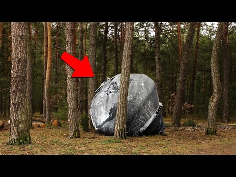 Видео: То, Что Они Обнаружили В Лесу Лишило Их Дара Речи