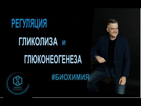 Видео: Биохимия: Регуляция гликолиза и глюконеогенеза