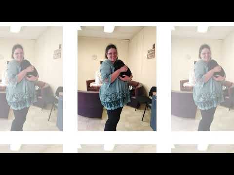 Видео: Кучета-водачи даряват незрящите хора със спокойствие, сигурност и подкрепа по техния труден път