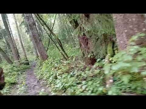Видео: 27 августа 2025 г.