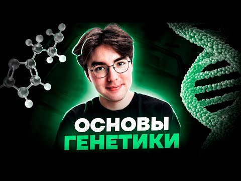 Видео: Основы генетики | Биология ОГЭ 2023 | Умскул