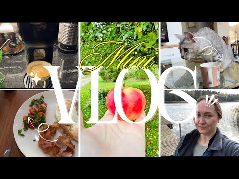 Видео: Life in Finland/ Vlog/ мои будни/ готовлю курицу/парфюм #жизньвфинляндии 