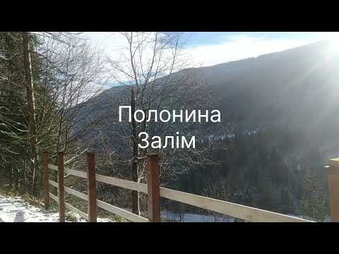 Видео: ПОЛОНИНА ЗАЛІМ. Нарінецький водооспад. Водоспад Женецький Гук.