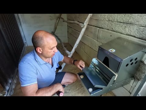 Видео: Классные гнезда для кур несушек Дмитрия Бочарова