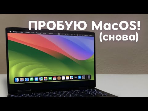 Видео: Установил MacOS на виртуальную машину!