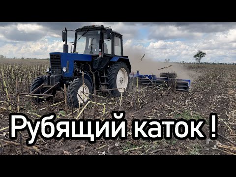 Видео: Рубящий каток по стерне подсолнечника! МТЗ с водоналивным катком.