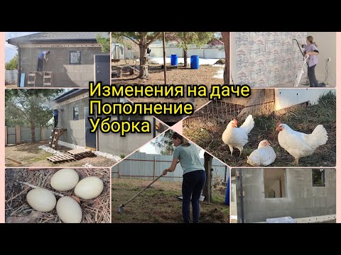 Видео: Изменения на даче☺️🌲Купили кур 🐔Уборка