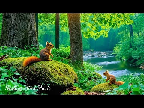 Видео: Красивая расслабляющая музыка 🌿 Успокаивающая музыка для нервной системы, снятие стресса