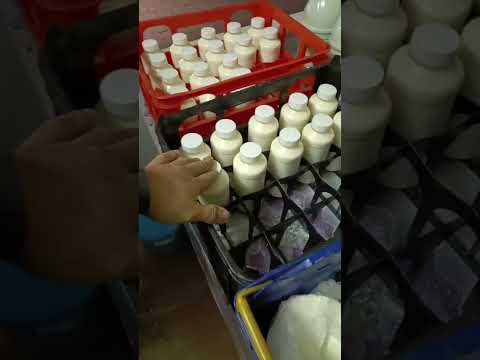 Видео: ЛІСОВА ФЕРМА РИНОК