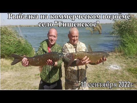 Видео: Рыбалка на коммерческом водоёме село "Тищенское" 10 сентября  2022г.