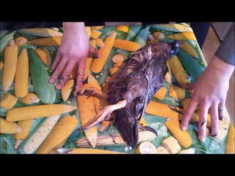 Видео: Как быстро ощипать утку вручную. Деревенские будни.