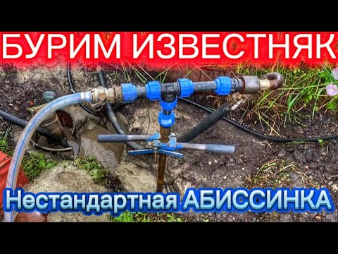 Видео: АБИССИНКА НА ДЕГРАДИРОВАННОМ ИЗВЕСТНЯКЕ. БУРИМ ВРУЧНУЮ С ТРУДНОСТЯМИ