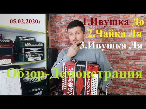 Видео: Гармонь Ивушка Чайка Кировская Обзор Демонстрация