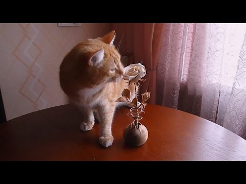 Видео: Резьба по дереву  Урок 3 Роза второй ряд лепестков Carving wooden Rose part 3