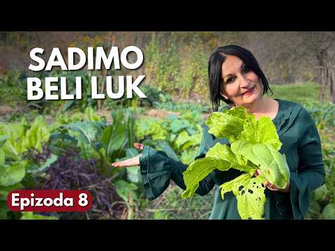 Видео: Сажаем Чеснок и Оцениваем Вкус Азиатских Салатов - Зимний Сад Эп. 8