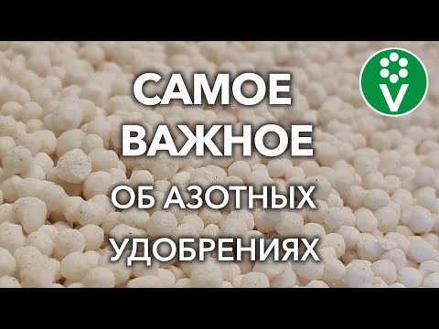 Видео: КАКИЕ АЗОТНЫЕ УДОБРЕНИЯ ВНОСИТЬ ВЕСНОЙ, А КАКИЕ ТОЛЬКО ЛЕТОМ? Виды удобрений, правила внесения