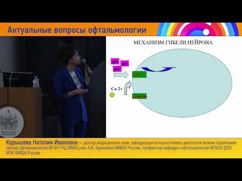 Видео: Возможности нейропротекции при глаукоме Н И  Курышева