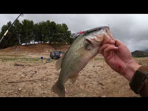 Видео: рыбалка с ночевкой на водохранилище Conde de Guadalhorse, Испания