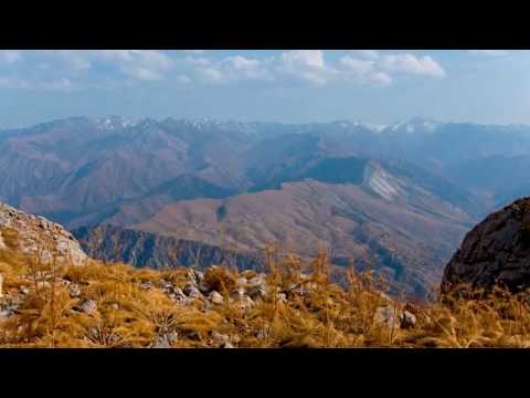 Видео: ПЛАТО ПУЛАТХАН .Plato Pulat Han