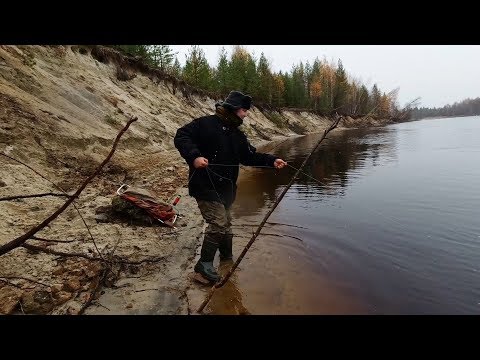 Видео: ЛОВЛЯ НАЛИМА В ОКТЯБРЕ. ДОНКИ НА НАЛИМА. РЫБАЛКА НА ЗАКИДУШКИ