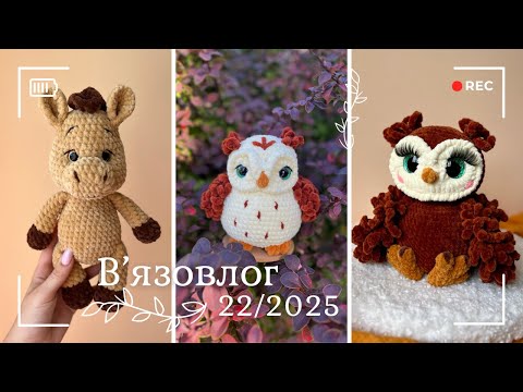 Видео: Вʼязовлог 22/2025 - Сова, коник, сніговик, совуня, зберігання пряжі та нові покупки