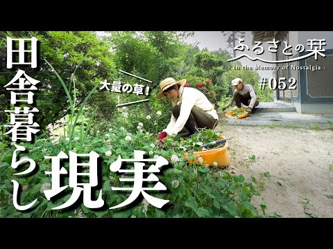 Видео: [Старая добрая жизнь в Японии] Летний пейзаж японской деревни | 052