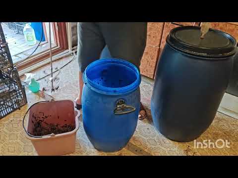 Видео: Вино из винограда молдова