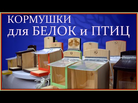 Видео: Кормушка для белки, для белки и птиц. Что делать если белка не пришла. Дятел, лазоревка и трактор.