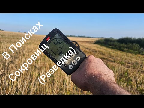 Видео: КОП НА ПОЛЕ.В ПОИСКАХ СОКРОВИЩ...НА МЕСТЕ РАСПАХАННОГО ДОМА.КОП 2025...