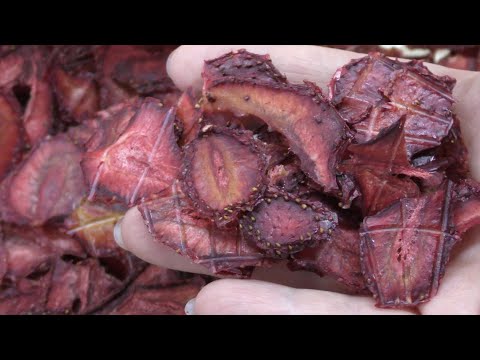 Видео: Сушеная клубника | Как сушить клубнику | Сушка клубники в электросушилке
