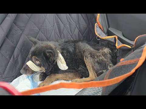 Видео: Страшная находка в заброшенном доме!