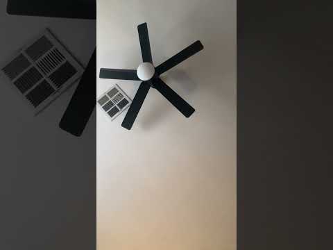 Видео: Кто-то сделал немыслимое — люди тоже об этом знают.